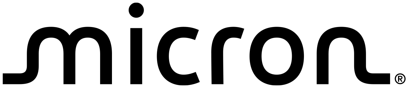 Nieuw Micron-logo 2024