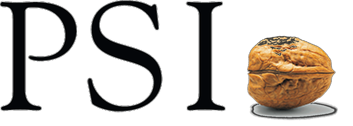 PSI Software-logo vóór 2026