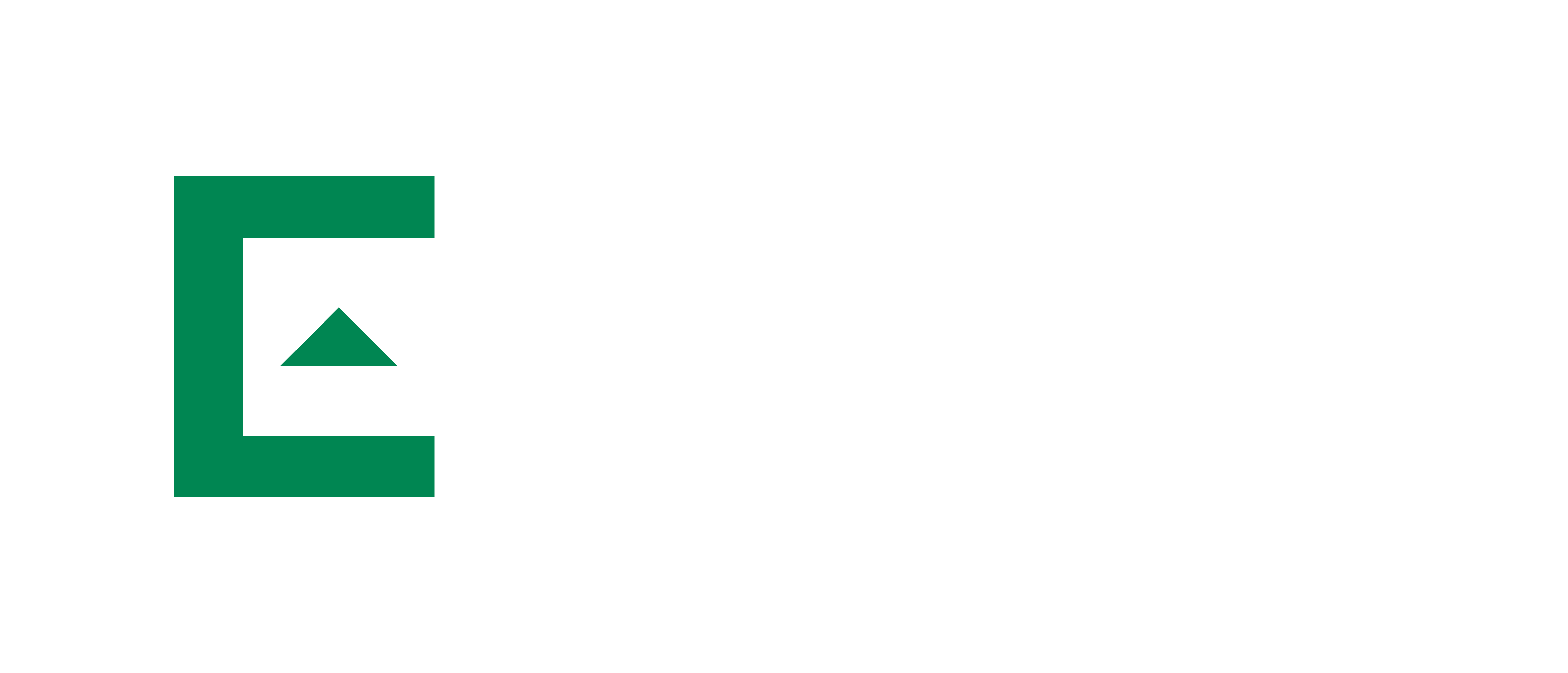 Nieuw Everus Construction Group-logo 2024