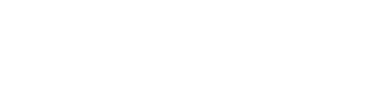 Nieuw Magene-logo 2026