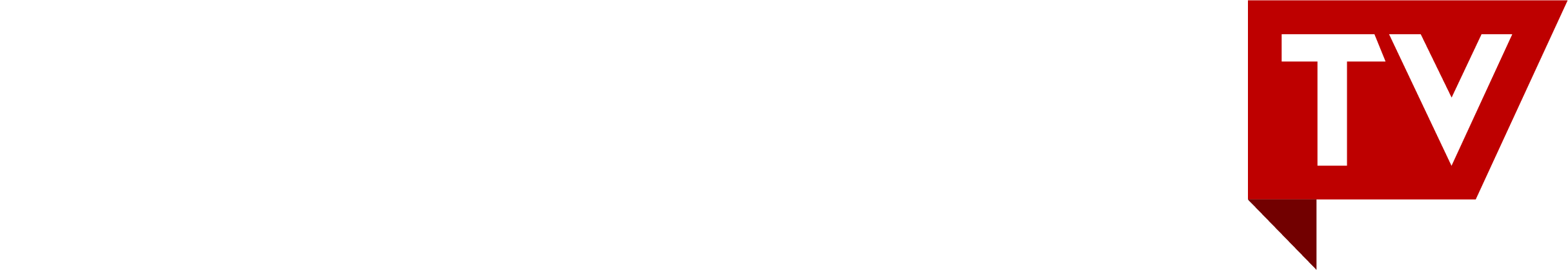 Nieuw Acorn TV-logo 2019
