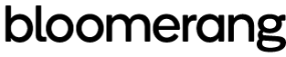 Bloomerang-logo vóór de rebrand van 2025