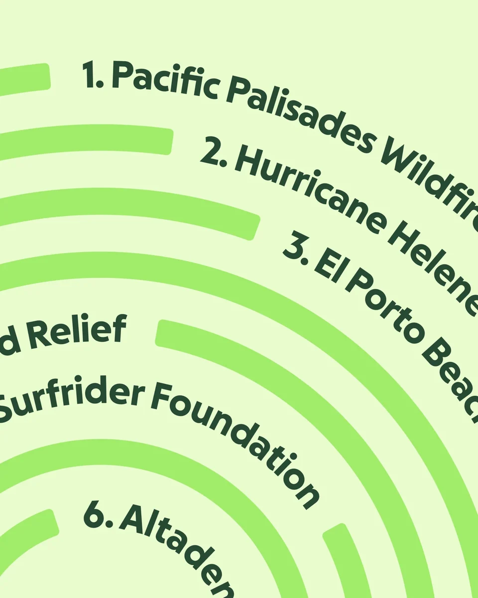 GoFundMe list graphic of fundraisers on green rings
