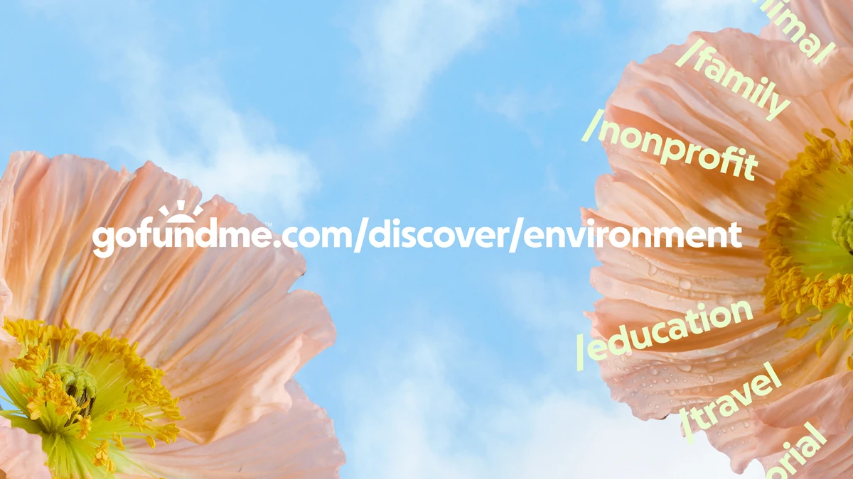 GoFundMe URL over a close-up photo of pink flowers