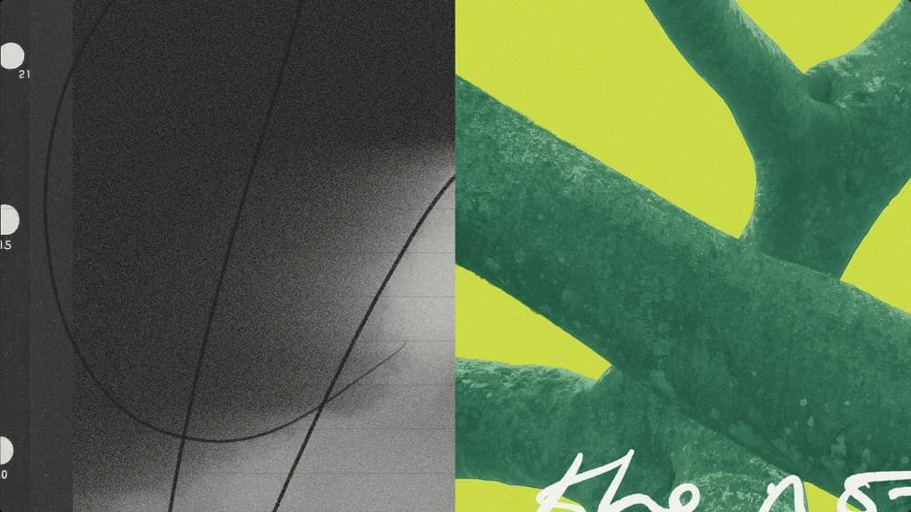 Granola collage of grainy black-and-white texture and a green plant on lime