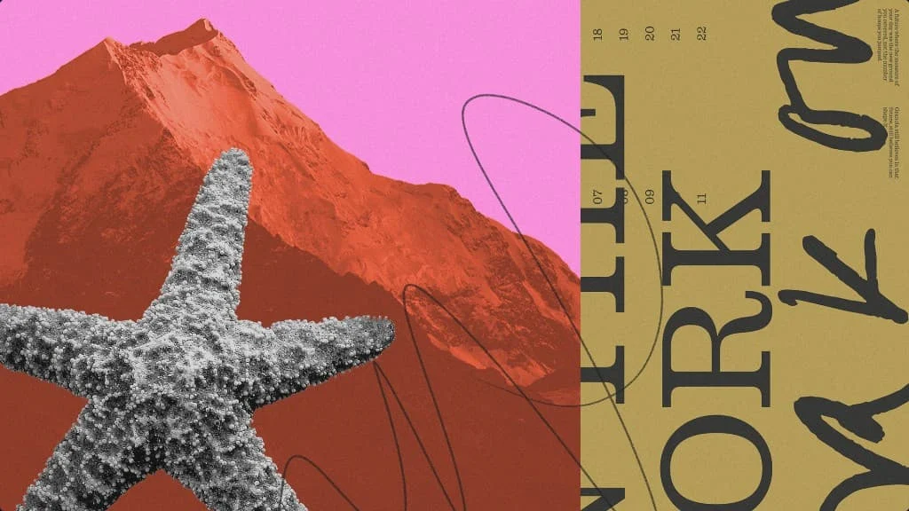 Collage of a red mountain, a starfish and serif type in Granola's palette