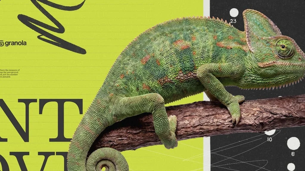 A chameleon on a branch over lime and black lettering, Granola brand collage