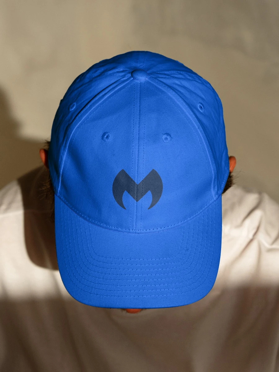 Blauwe pet met de Malwarebytes-M